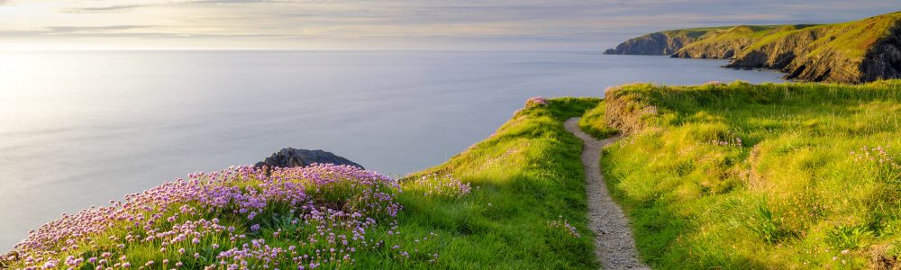 11-Pembrokeshire-Coast-Path-and-Ceibwr-Bay